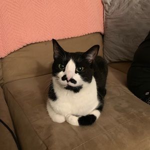 Meet your Posher, Sharon